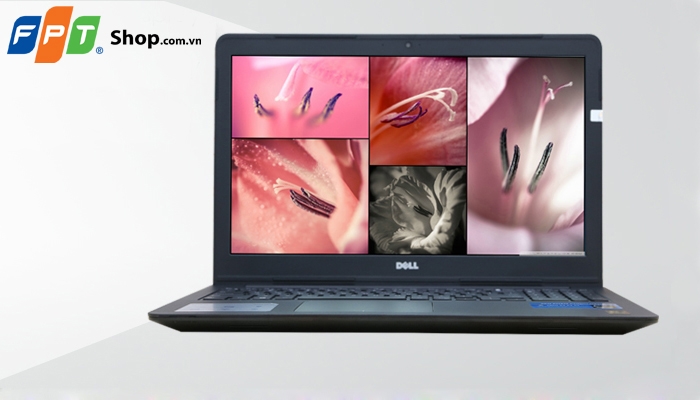 Dell N5542