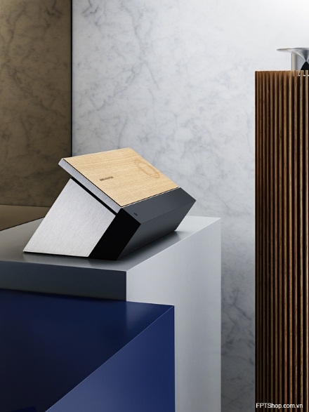 Bang & Olufsen BeoSound Moment