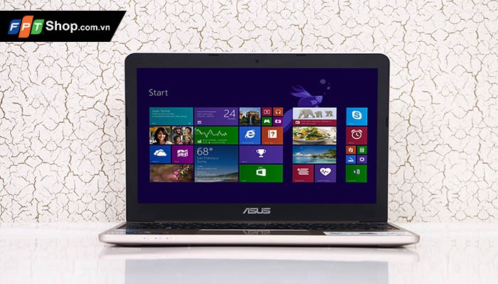 Màn hình Asus X205TA