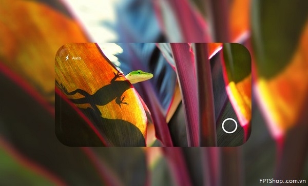 Windows 11 Mobile copcept
