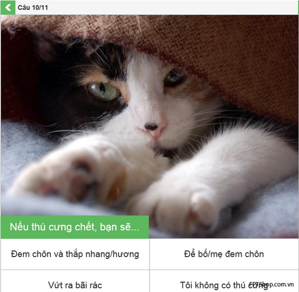Cách tham gia ứng dụng Có bao nhiêu hồn ma đang theo bám bạn