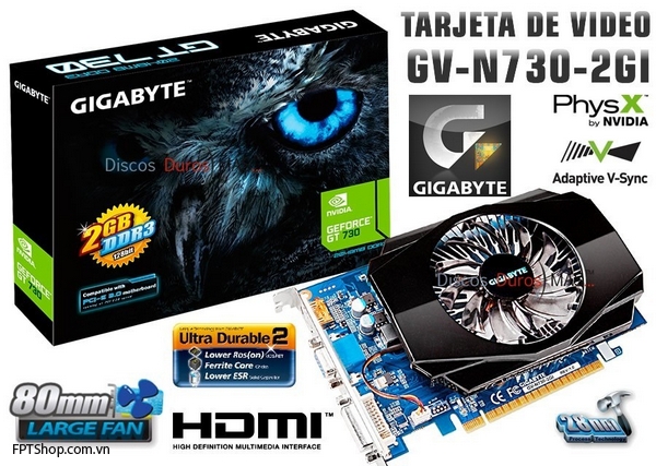 Gigabyte GT 730 (2GB)