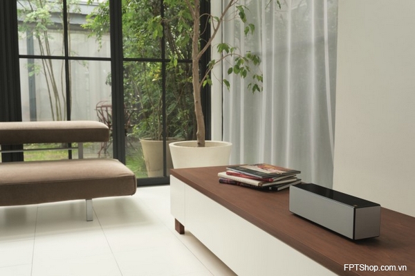 Sony SRS-X55