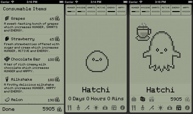 Hatchi