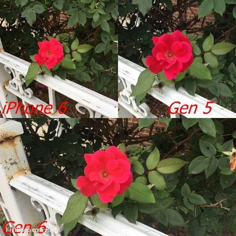 hình ảnh được chụp từ iPhone 6 và thế hệ iPod tiền nhiệm