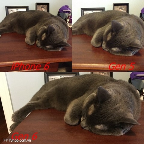 hình ảnh được chụp từ iPhone 6 và thế hệ iPod tiền nhiệm