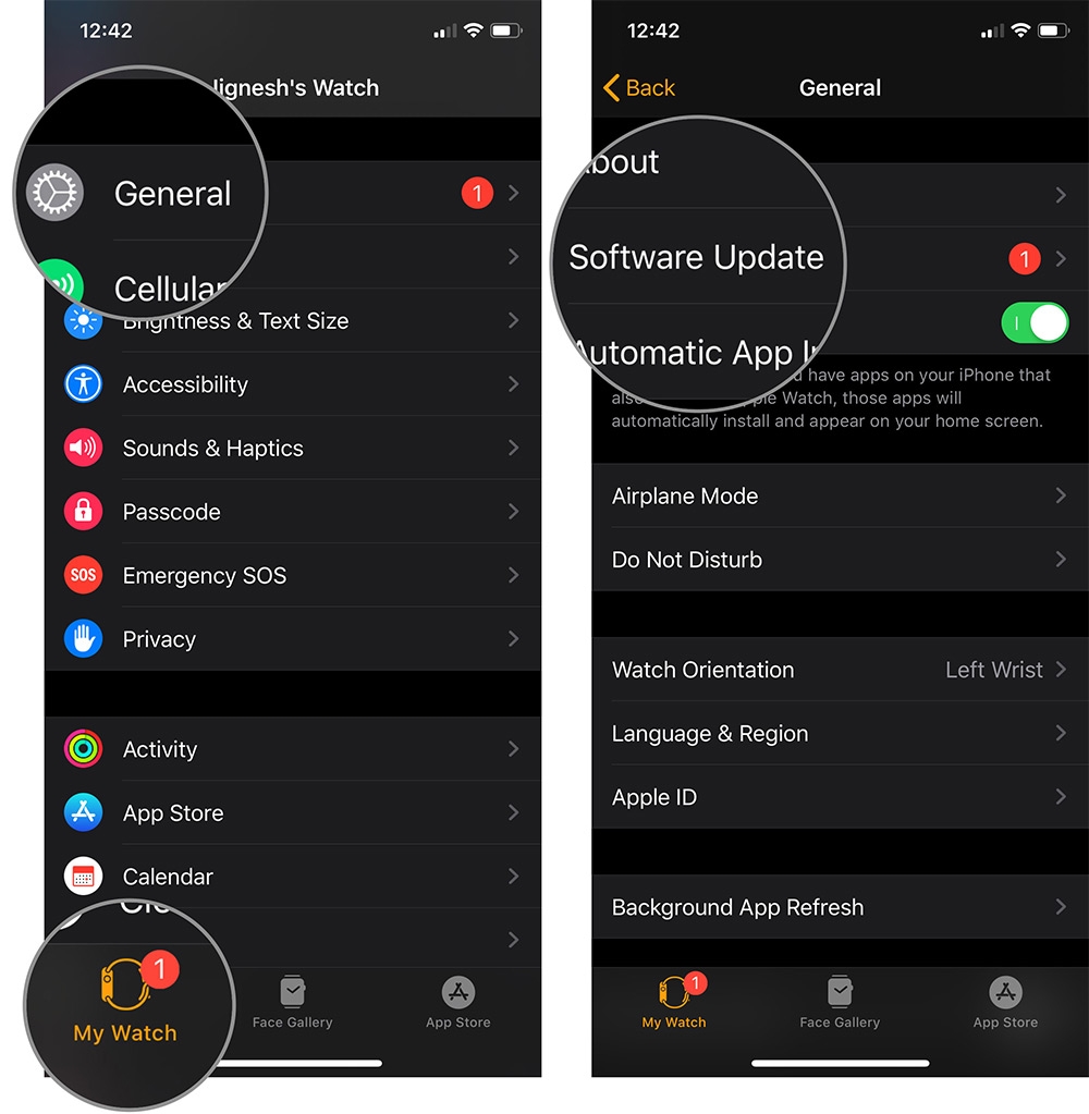 watchOs 6 beta 8 Apple Watch