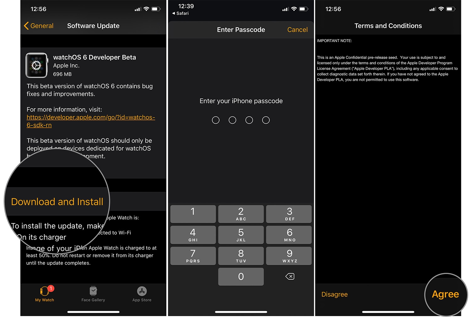 mẹo cập nhật watchOs 6 beta 8