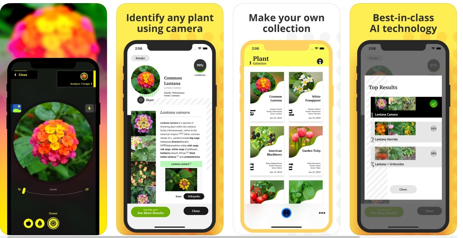 Tải về Plant Identification