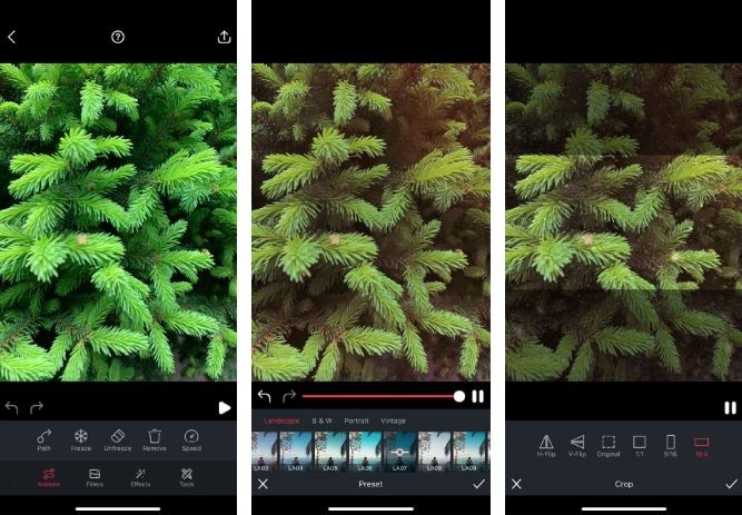 Ứng dụng hay tạo ảnh động trên iOS