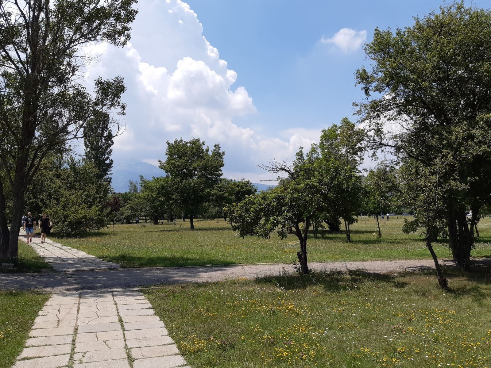 camera Samsung Galaxy A30