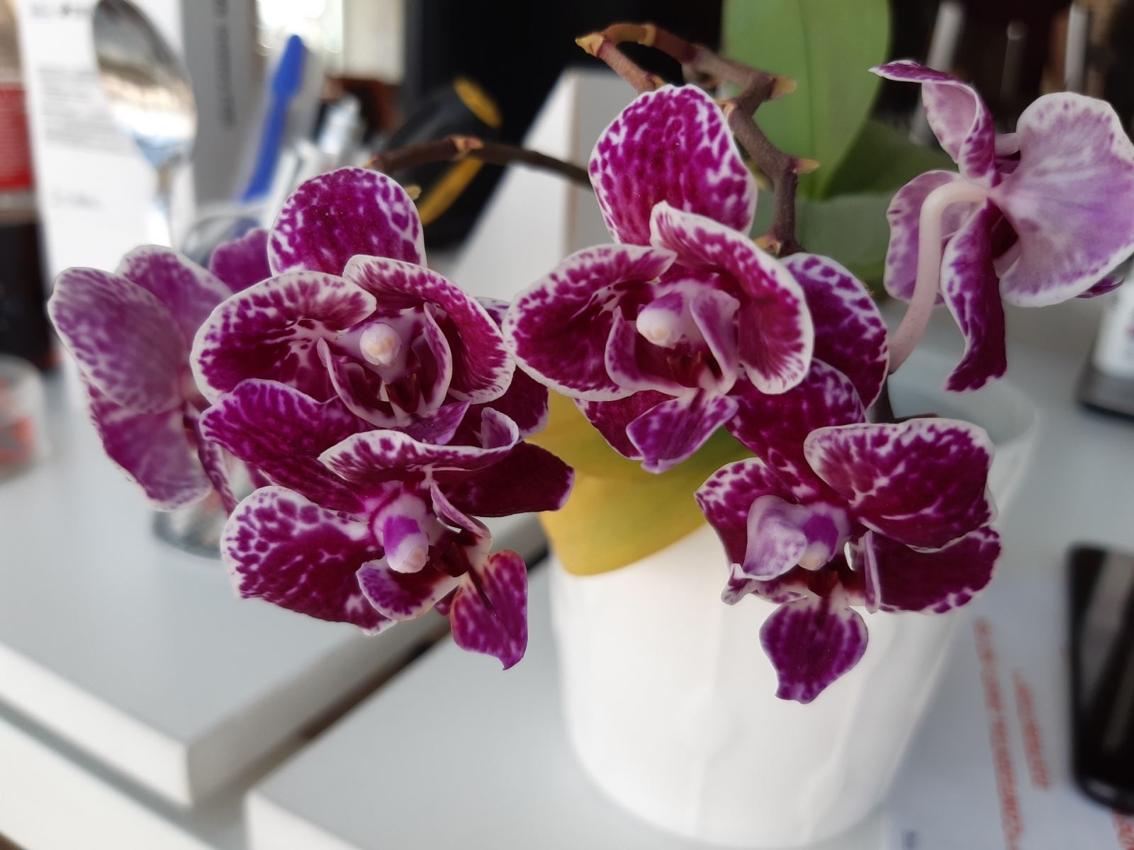 camera Samsung Galaxy A30