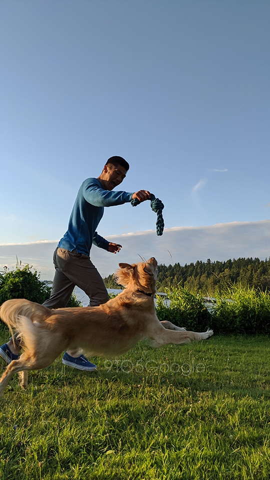 Ảnh chụp từ camera Pixel 4 (ảnh 7)