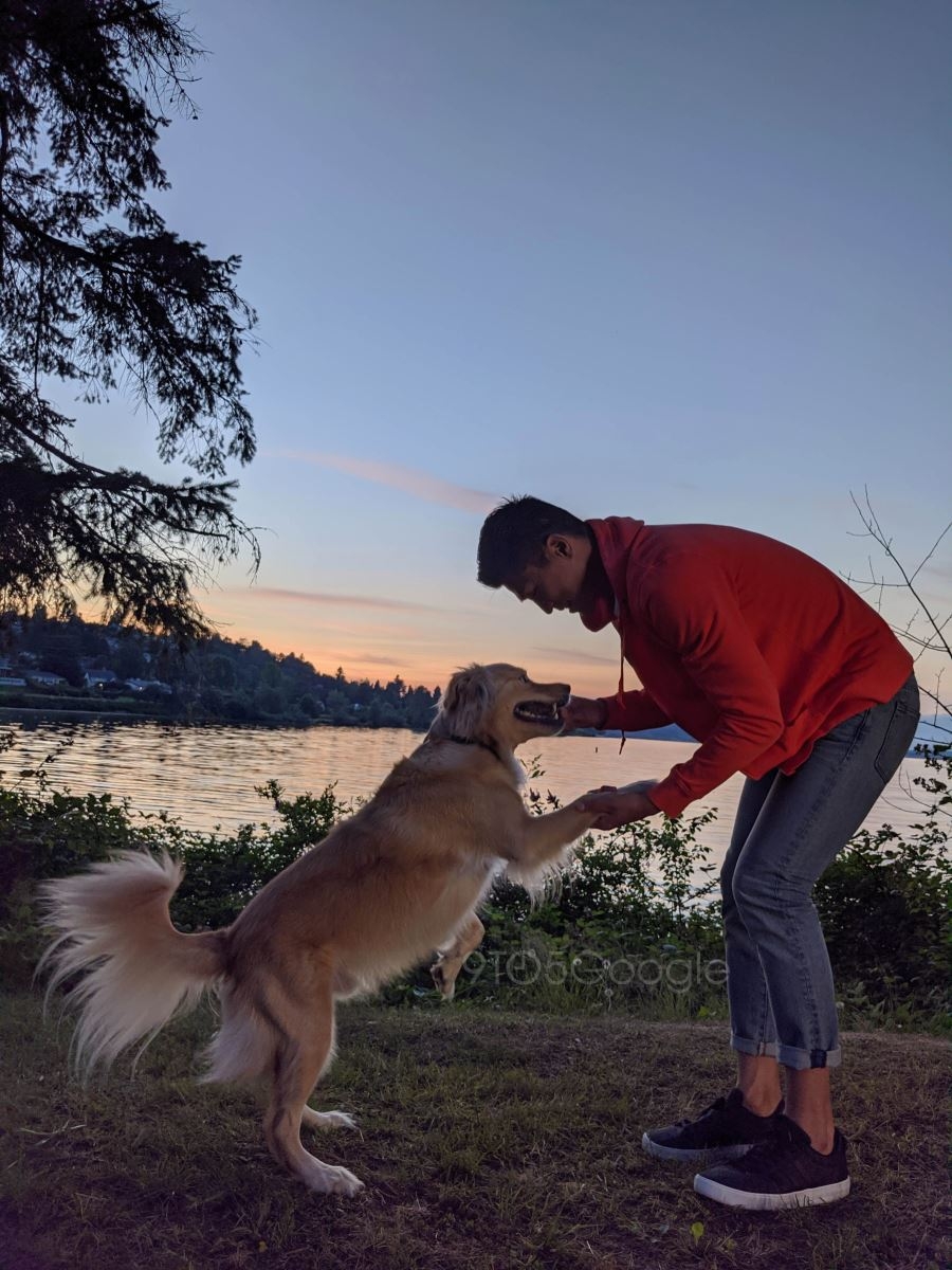 Ảnh chụp từ camera Pixel 4 (ảnh 5)