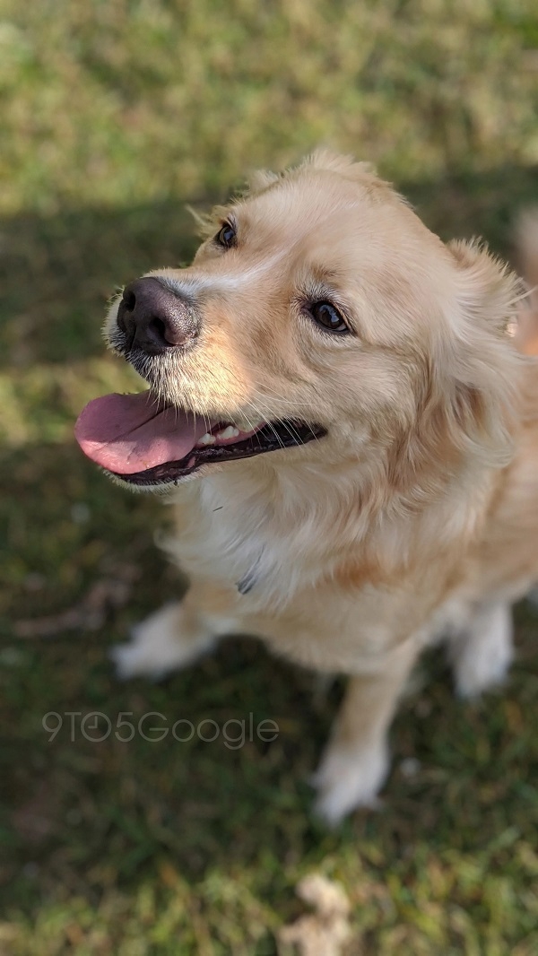 Pixel 4