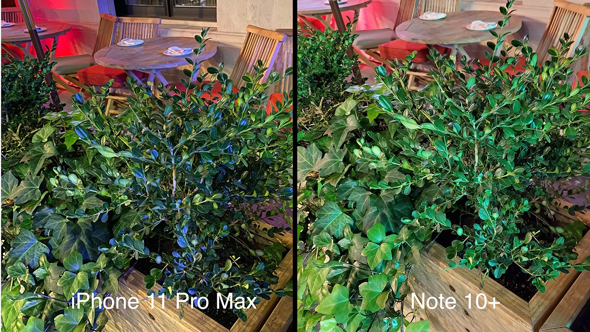 So sánh camera iPhone 11 Pro Max và Galaxy Note 10+, mèo nào cắn mỉu nào?