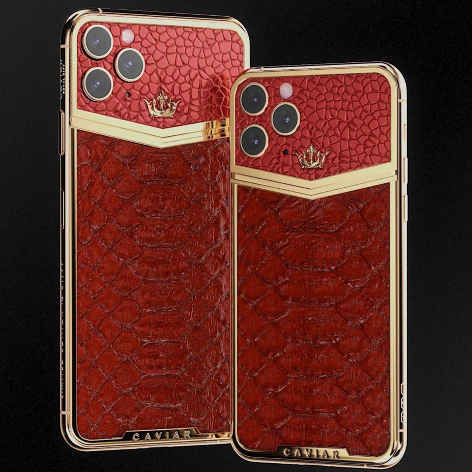 Phiên bản iPhone 11 Pro đặc biệt (ảnh 2)