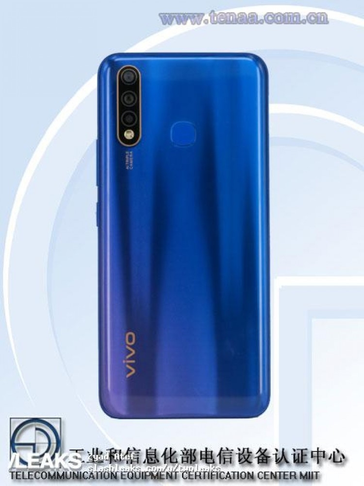 Vivo