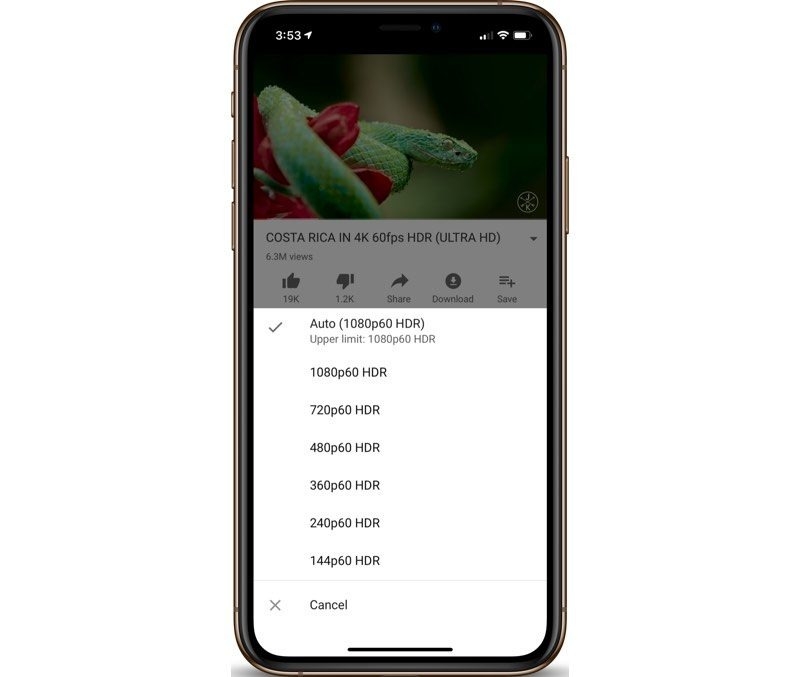 iPhone 11