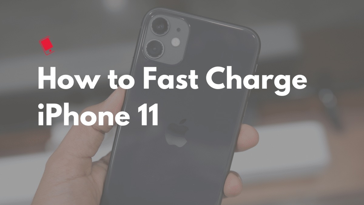 iPhone 11