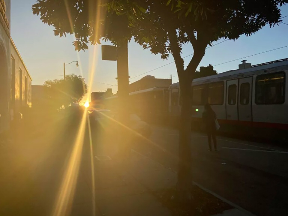 So sánh camera iPhone 11 và iPhone XR (ảnh 2)