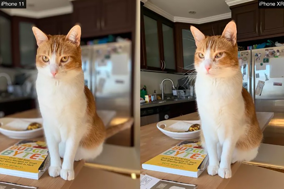 So sánh camera iPhone 11 và iPhone XR (ảnh 8)