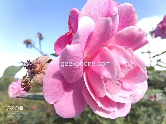 Lenovo Z6 Pro 5G