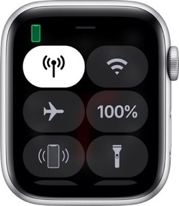 Hướng dẫn sử dụng eSIM trên Apple Watch 88