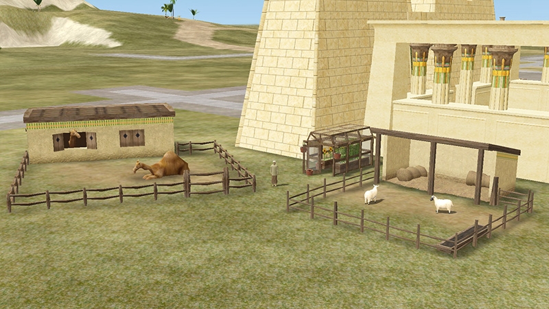 A Tale in the Desert