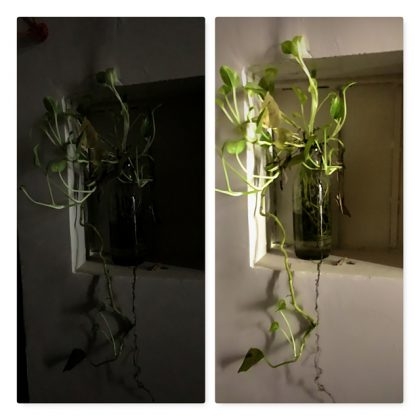 Night Mode Camera iPhone 02