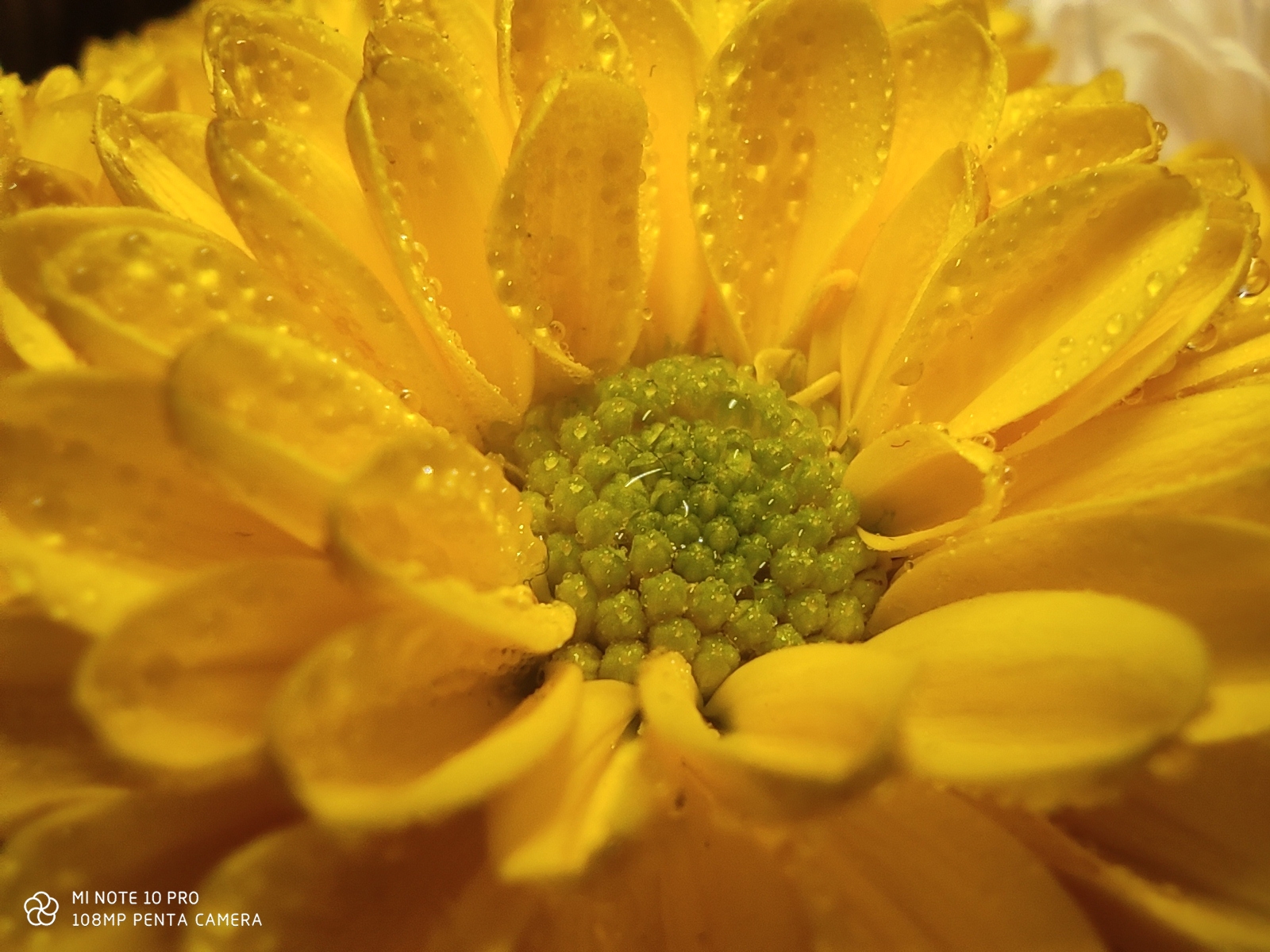 Xiaomi Mi Note 10 Pro