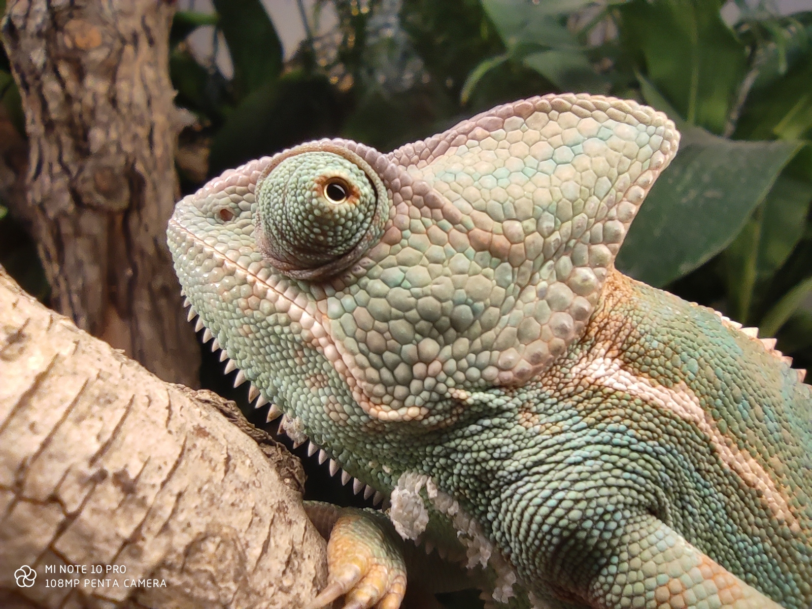 Xiaomi Mi Note 10 Pro