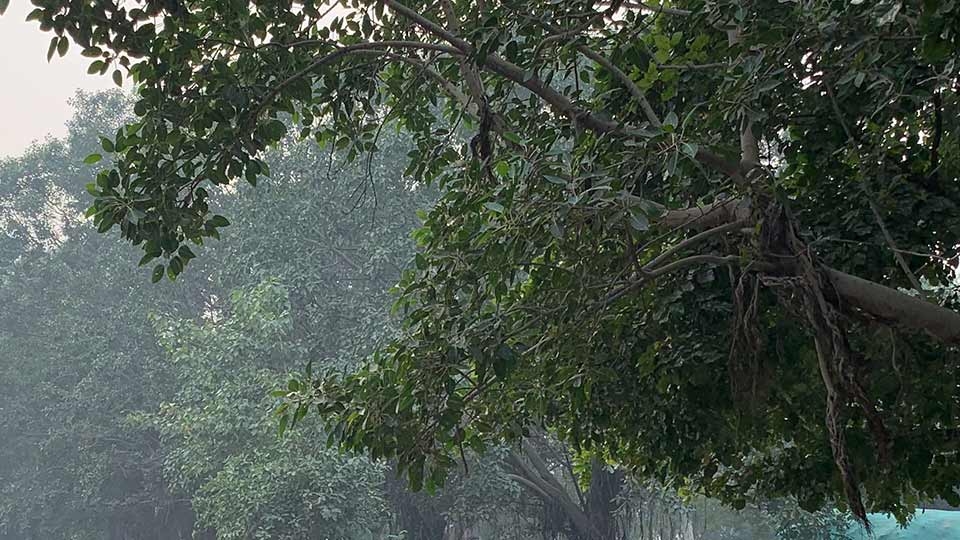 iPhone 11 vs iPhone XR