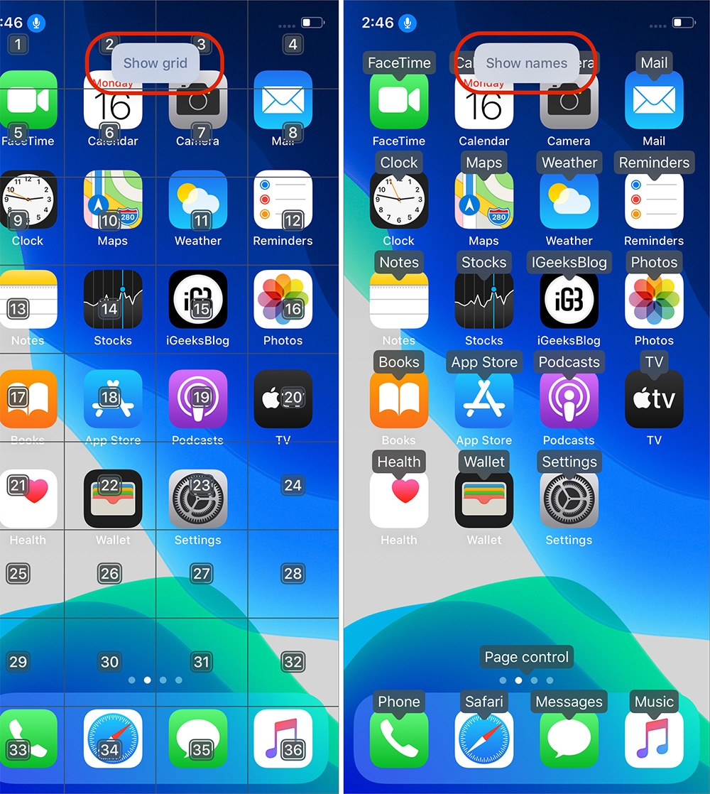 voice control iphone