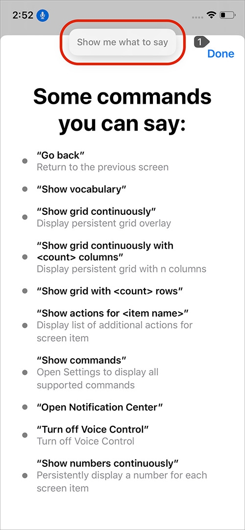 voice control iphone