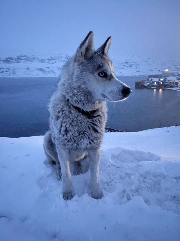 Chiêm ngưỡng bộ ảnh chụp từ iPhone 11 Pro 18