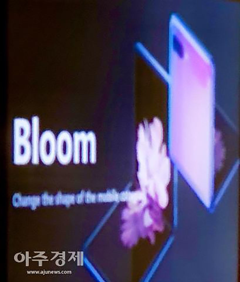 Galaxy Bloom Galaxy Bloom