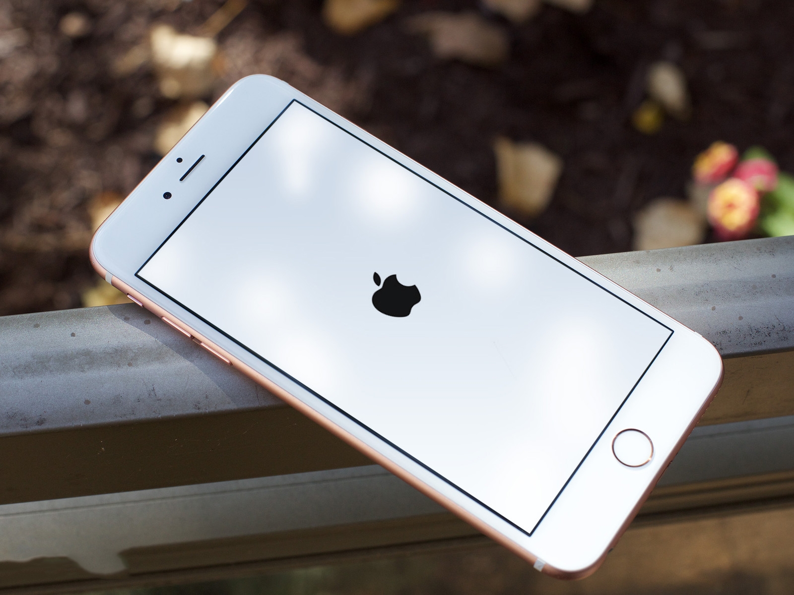 Cách khắc phục iPhone không kết nối mang, mất sóng