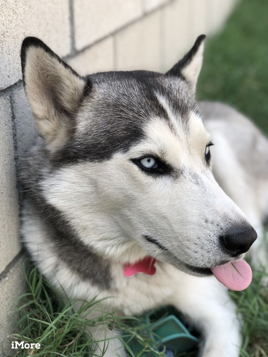 Chụp chân dung bằng iPhone 03