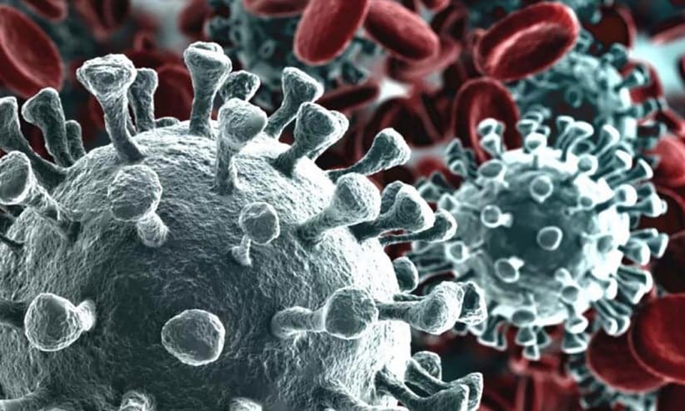 MWC 2020 chính thức bị hủy bỏ (ảnh 2) MWC 2020 chính thức bị hủy bỏ (ảnh 2)