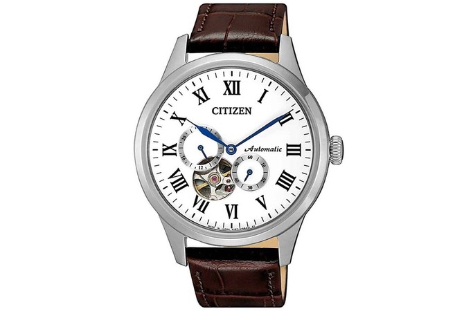 Citizen NP1020-15A