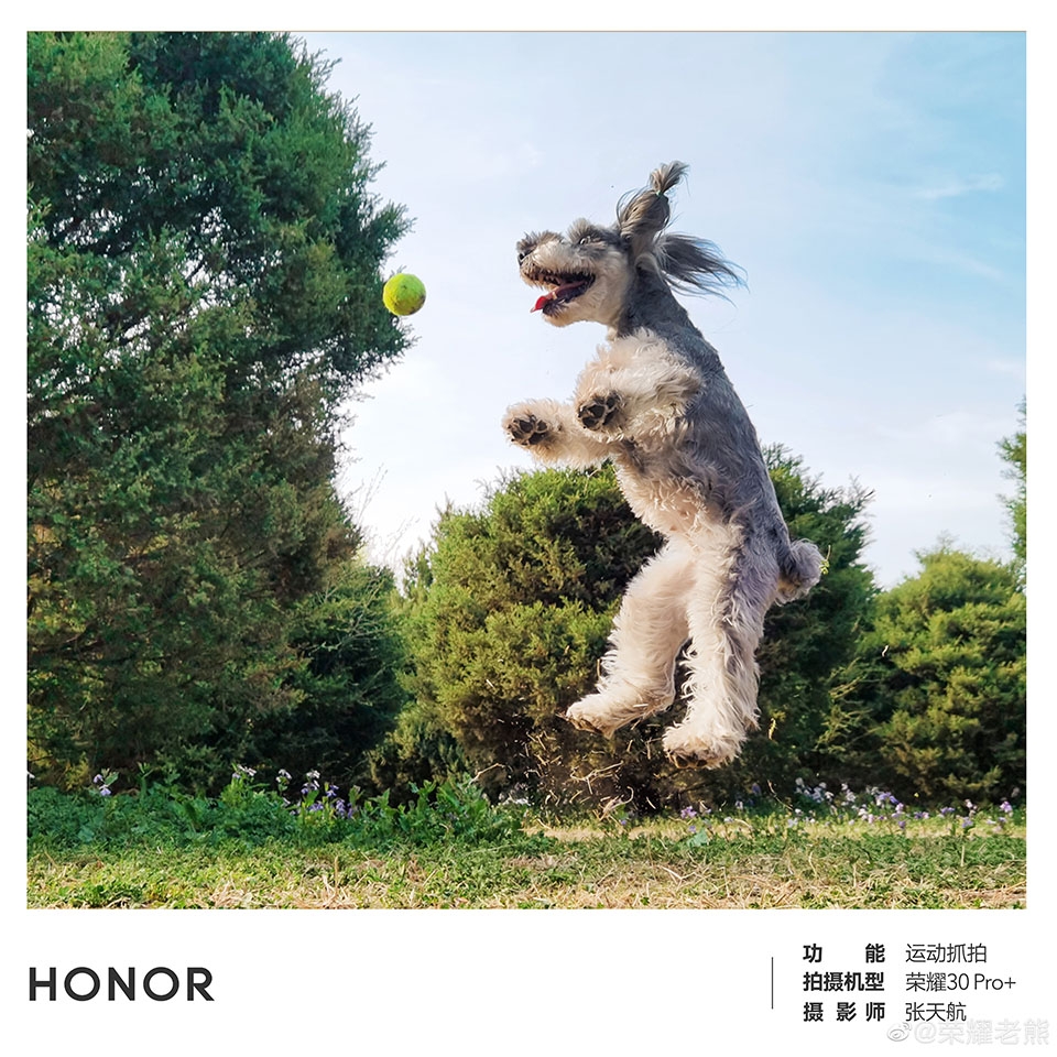Ảnh chụp từ Honor 30