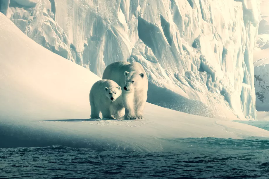 netflix our planet