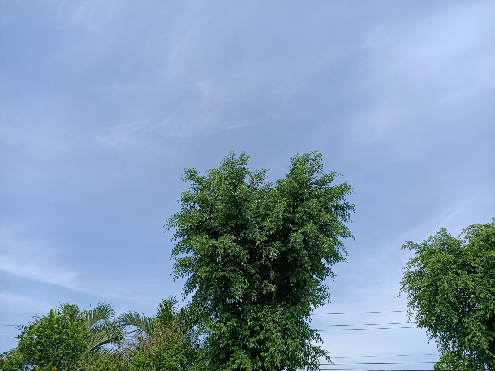 OPPO Reno3