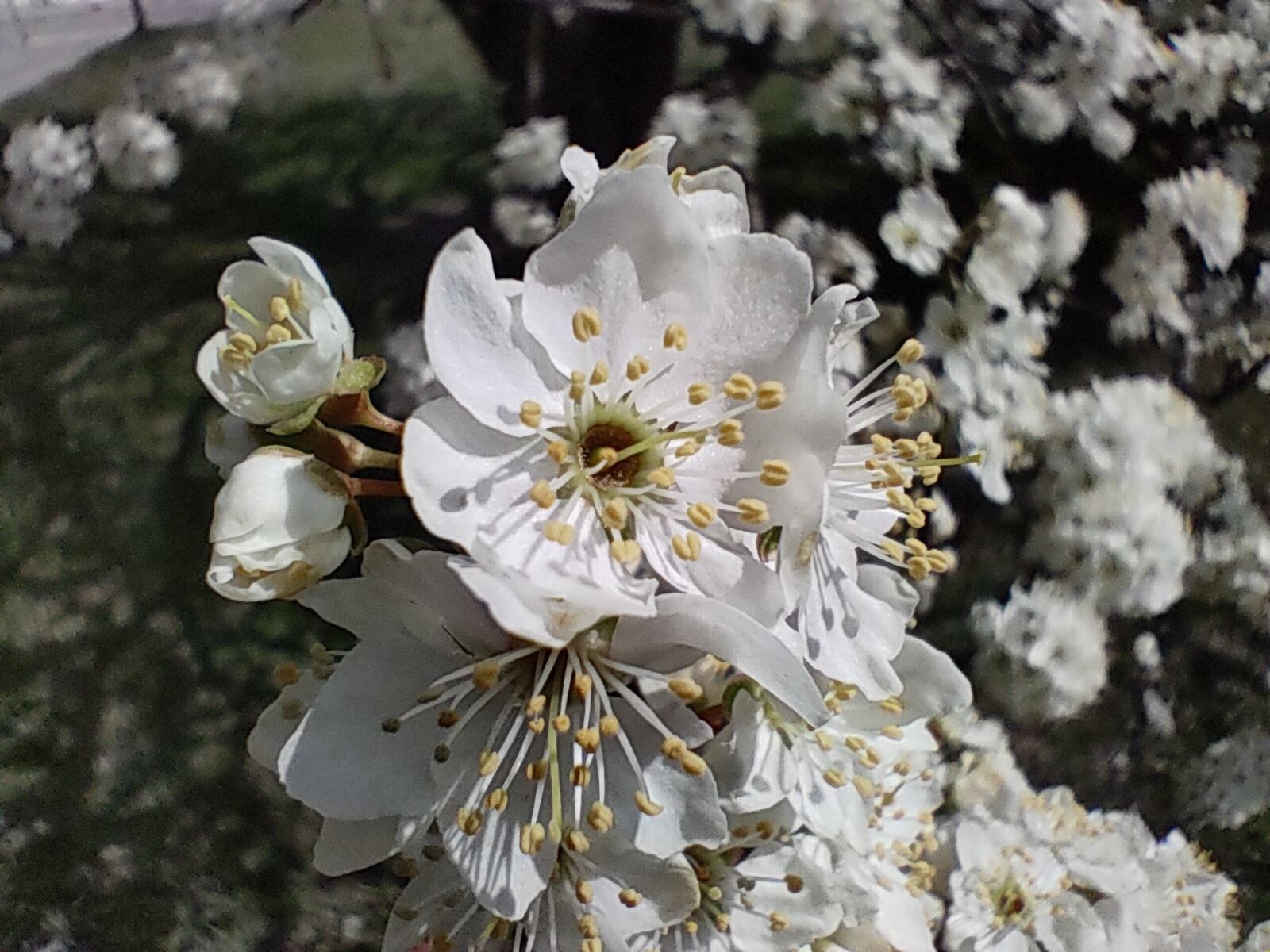 Đánh giá camera Realme 6 Pro: chụp ảnh đẹp, nhiều chế độ chụp