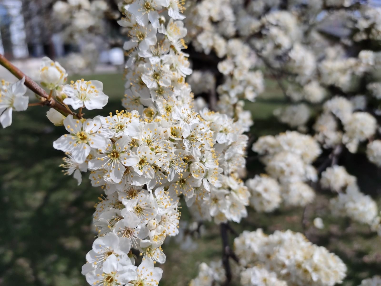 Đánh giá camera Realme 6 Pro: chụp ảnh đẹp, nhiều chế độ chụp