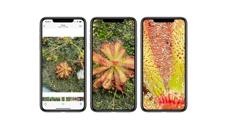 iOS 14 sẽ cho phép bạn phóng to hơn vào ảnh