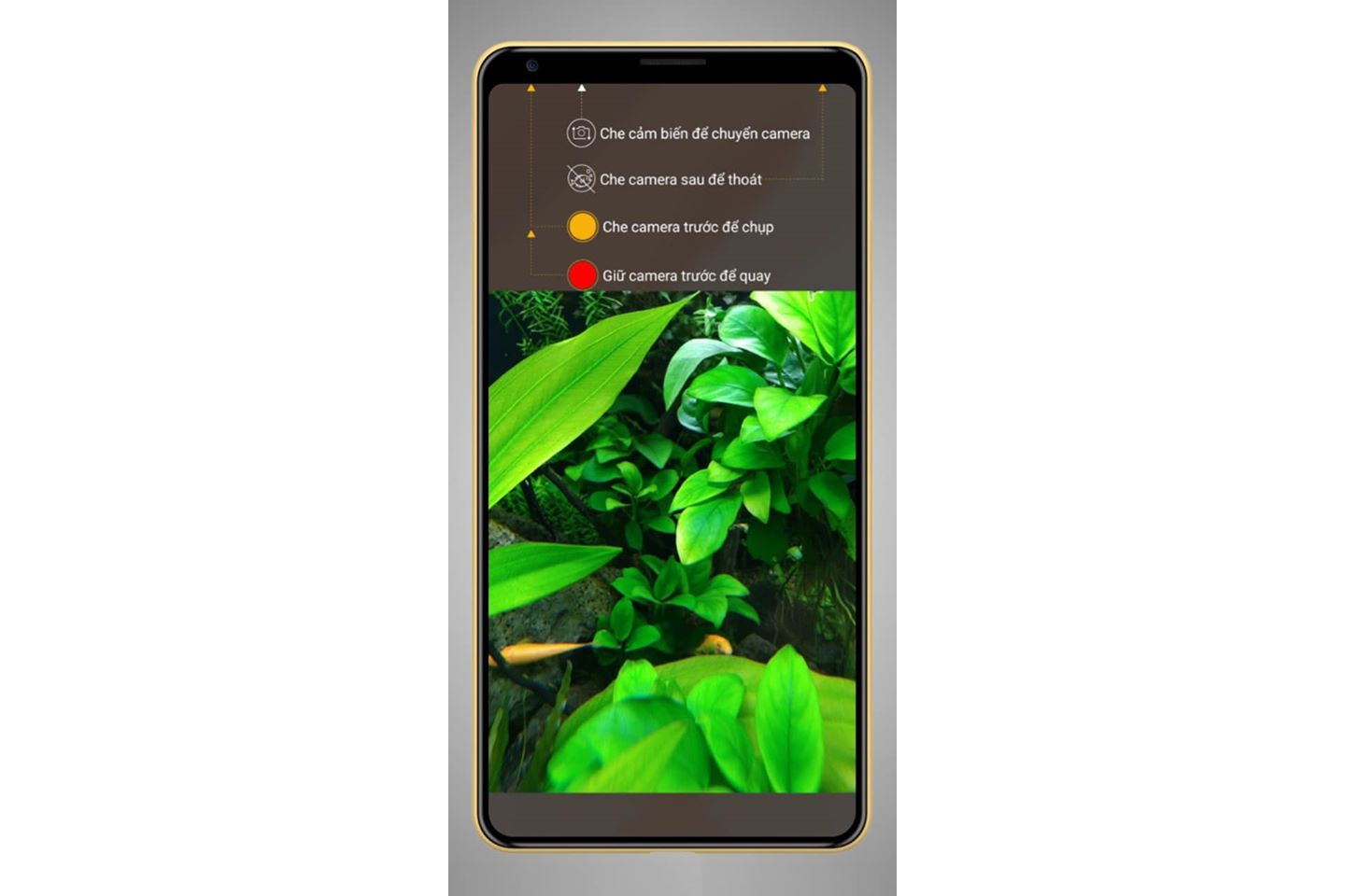 BPhone B86 thêm tính năng chụp ảnh dưới nước
