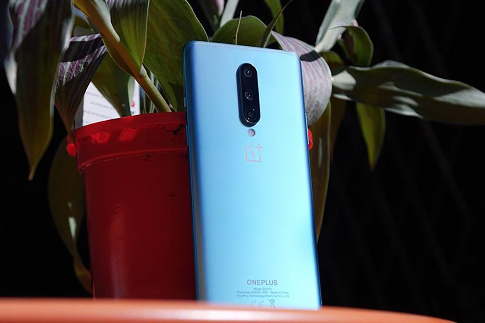 OnePlus 8 (ảnh 1)