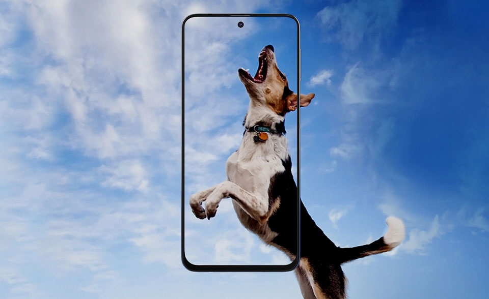Samsung Galaxy M31s Samsung Galaxy M31s
